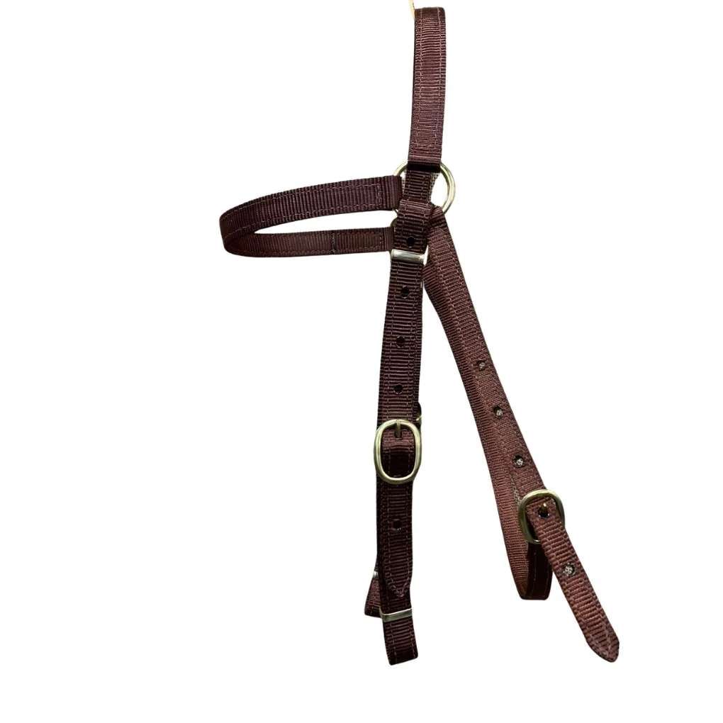 Tts Barcoo Bridle Head 3/4Inch Polywebbing S/S Bkles