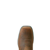 Ariat Ladies Anthem H20 Dark Roast