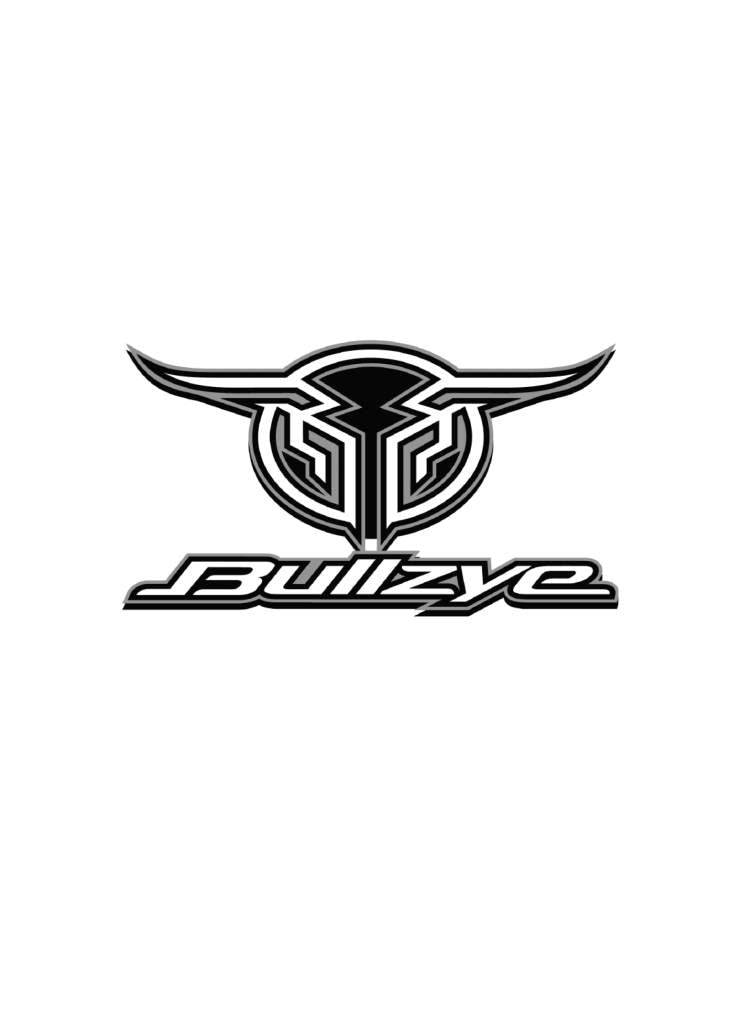 Bullzye Logo Sticker Size A