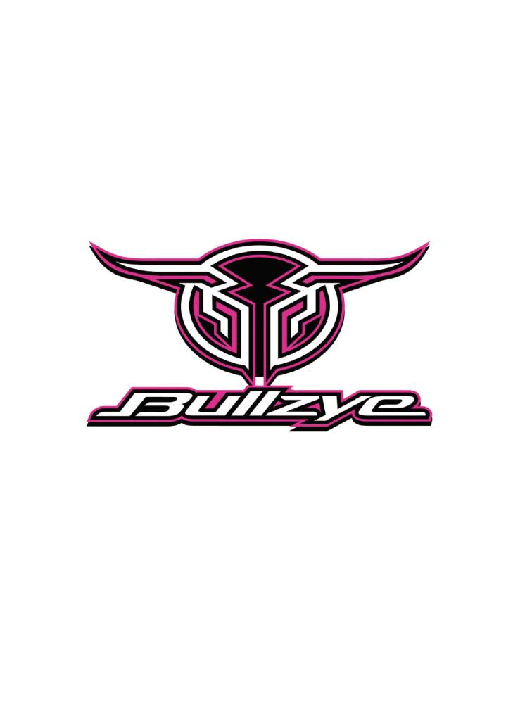 Bullzye Logo Sticker Size A