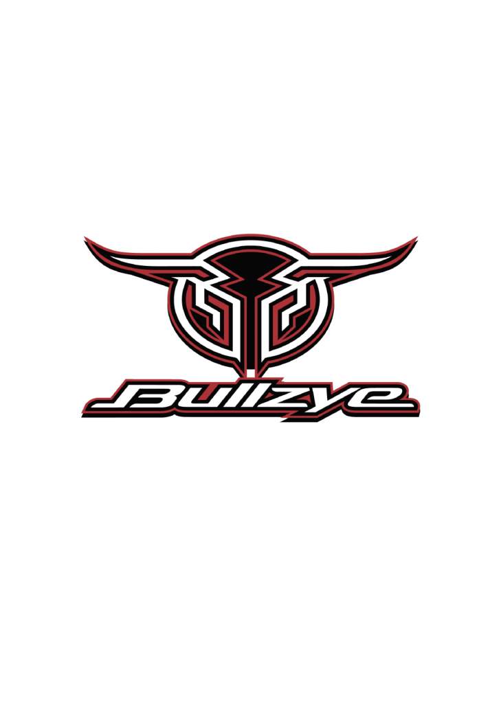 Bullzye Logo Sticker Size A