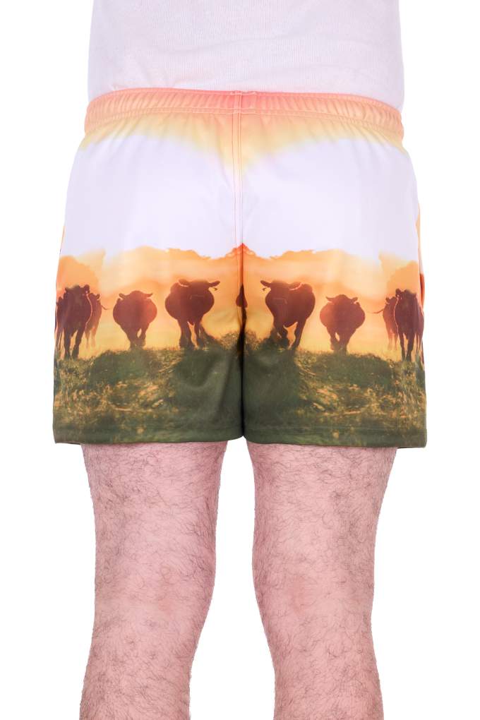 Bullzye Mens Orion Sports Shorts Muster