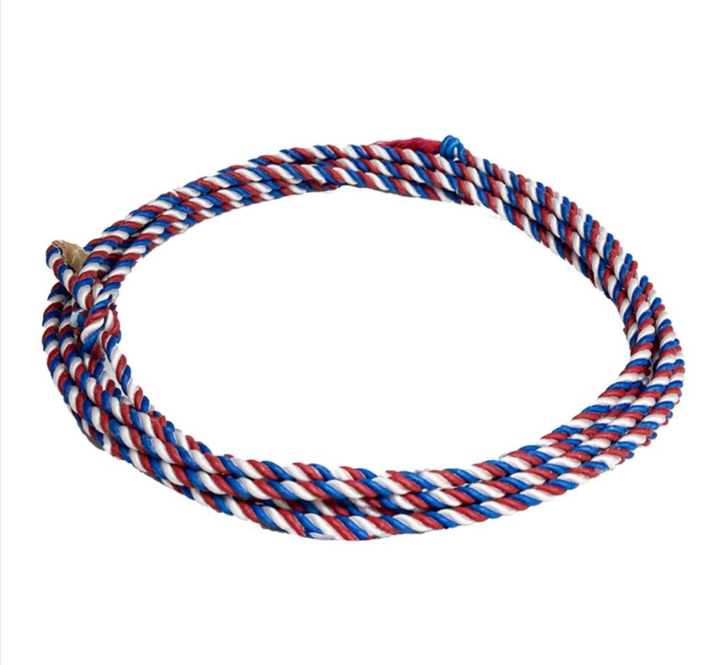Ezy Ride Little Looper Kids Rope 22F Multi
