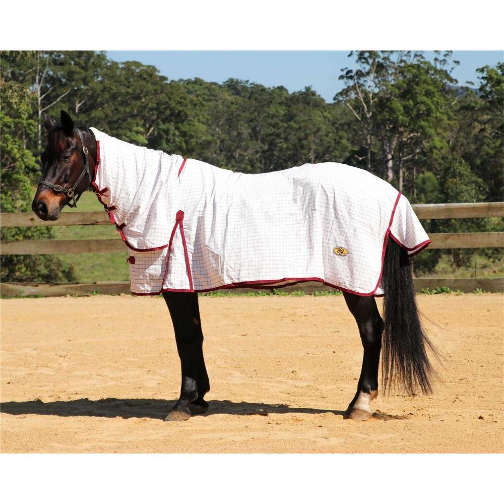 Gg Tear-Stop Combo Rug