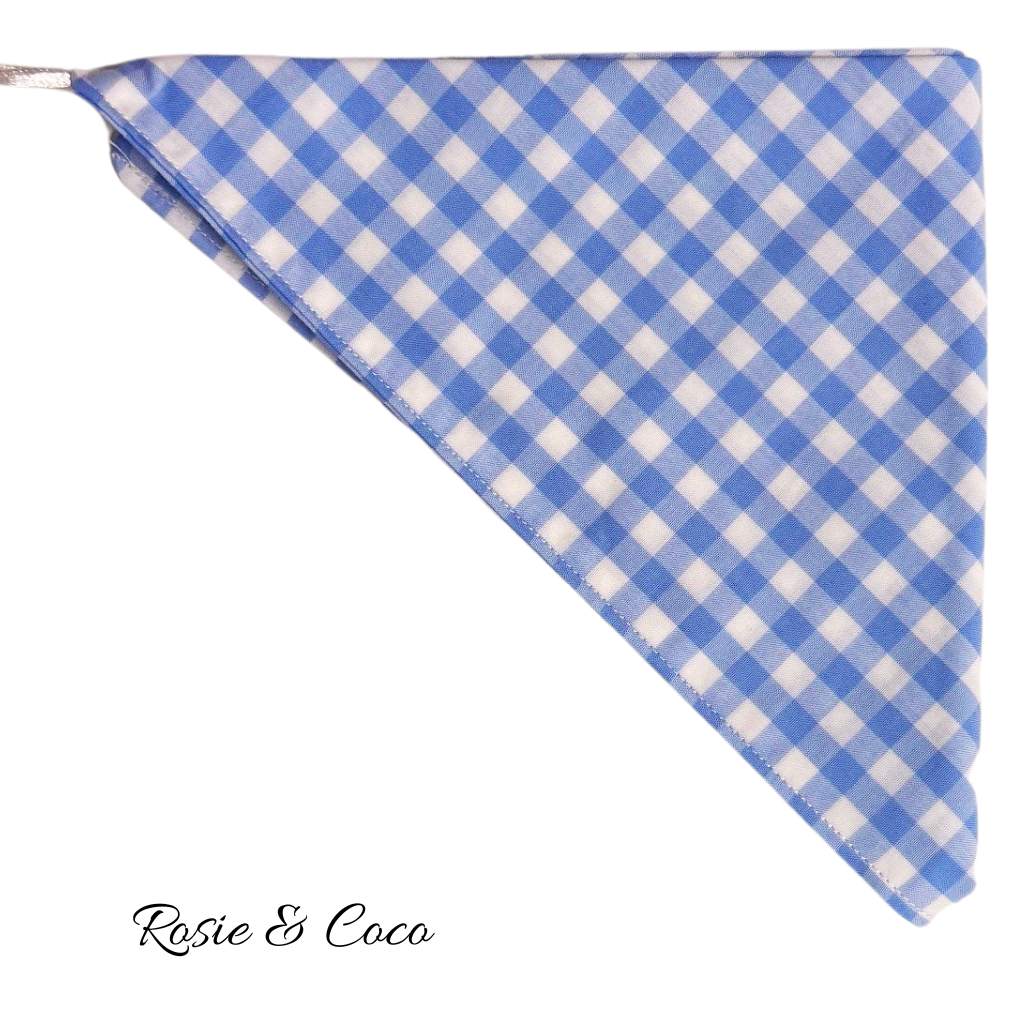 Rosie &amp; Coco Scarf Blue Check