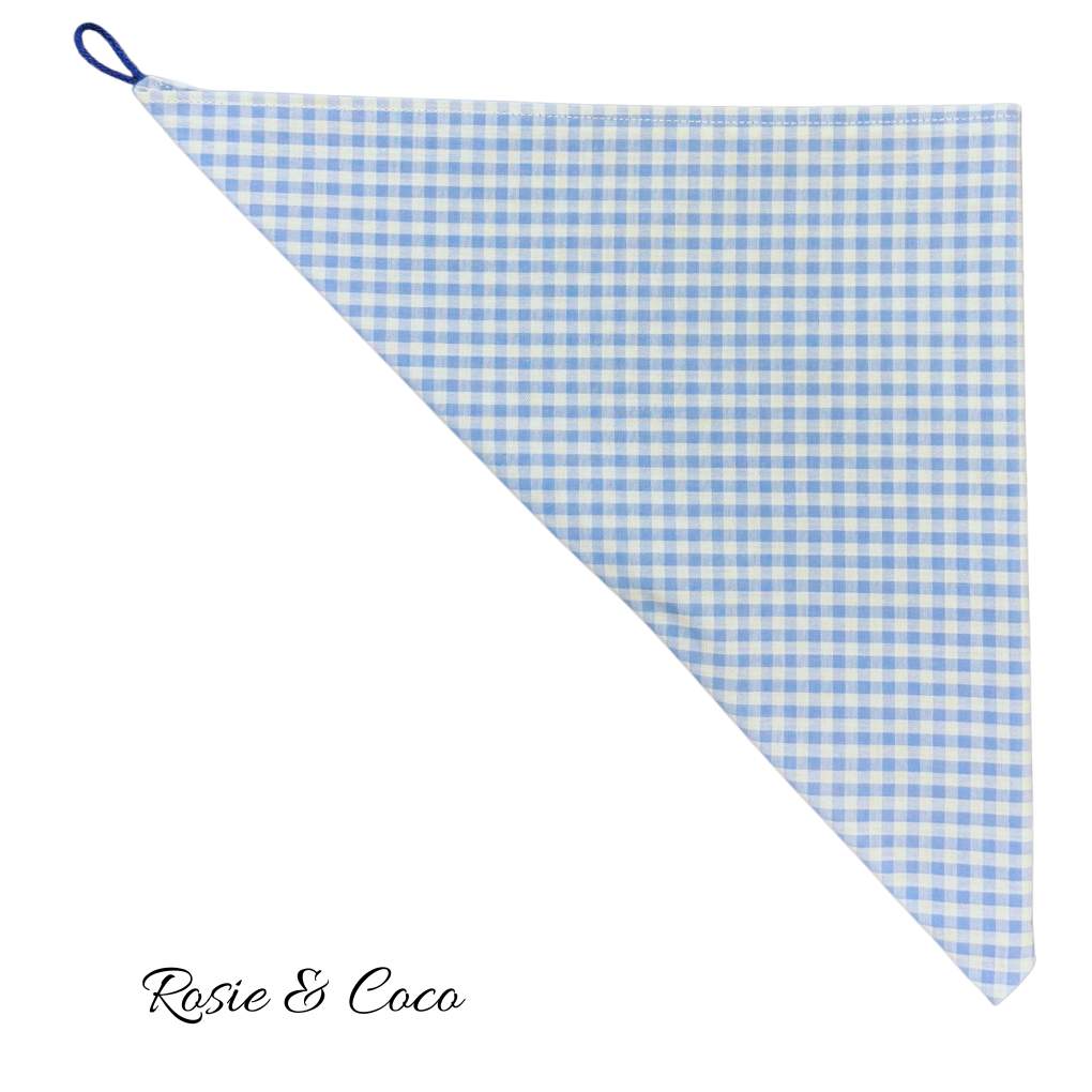 Rosie & Coco Small Blue Check