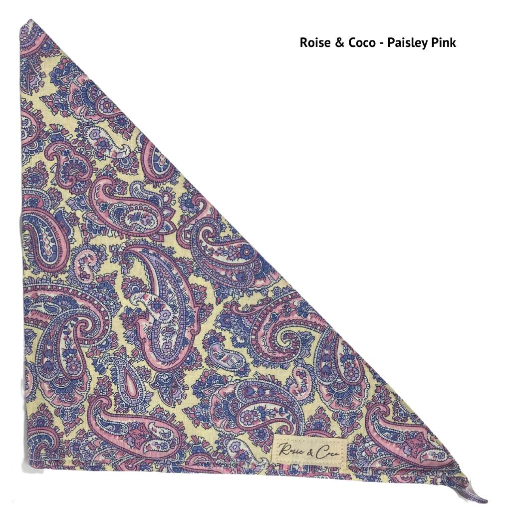 Rosie & Coco Scarf Paisley Pink