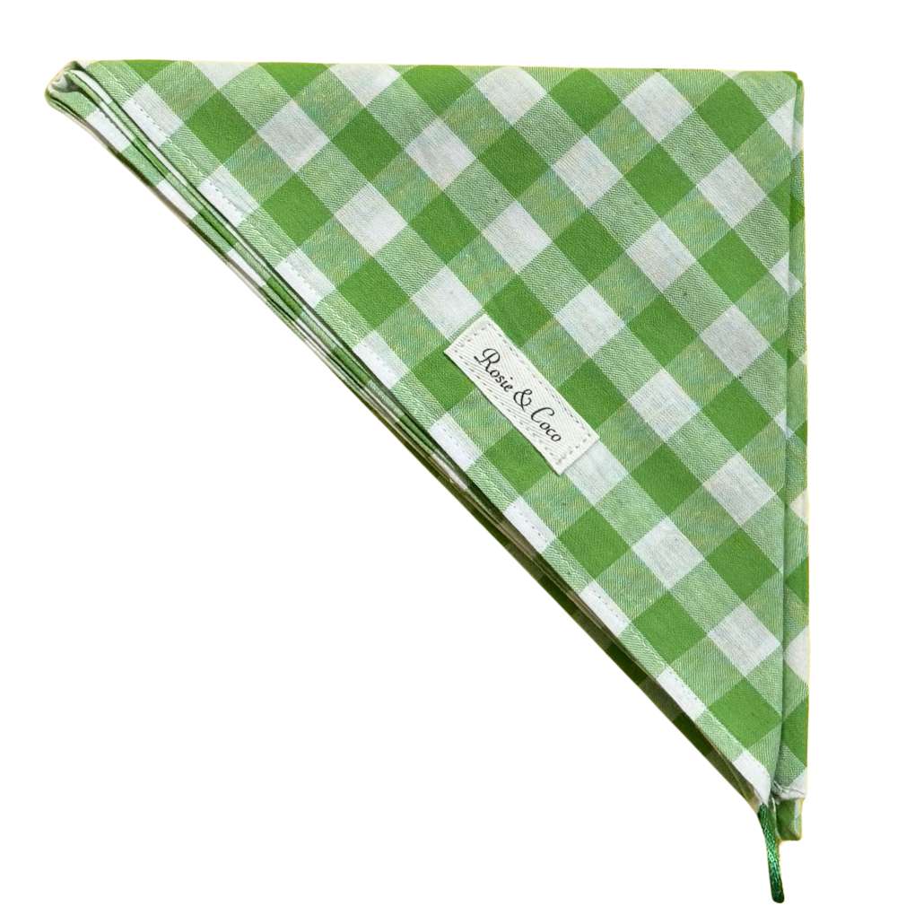 Rosie & Coco Scarf Green Check