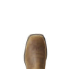 Ariat Ladies Anthem H20 Distressed Brown