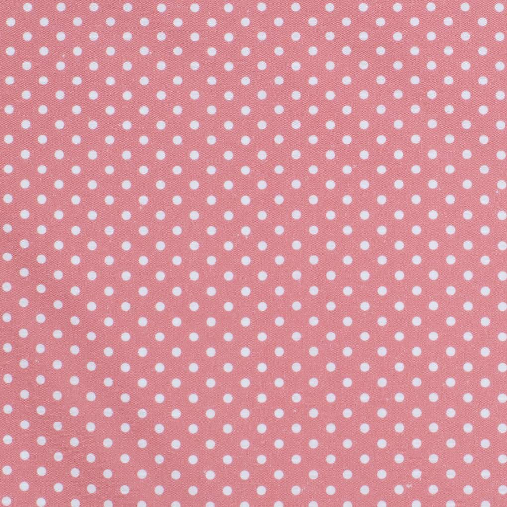 JCA Ladies Abbey Frill Rosewater/White Mini Spots Workshirt