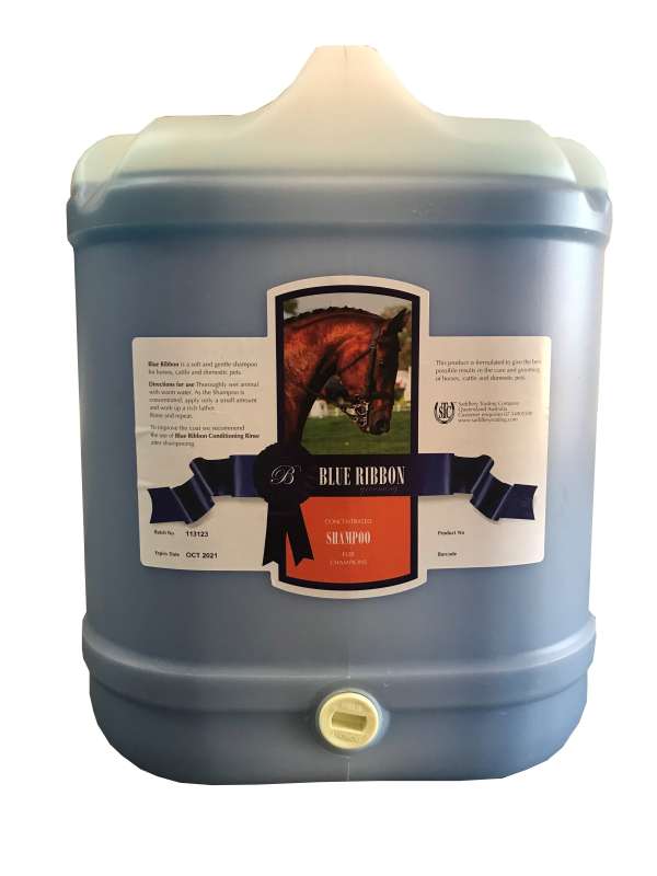 Blue Ribbon Regular Shampoo