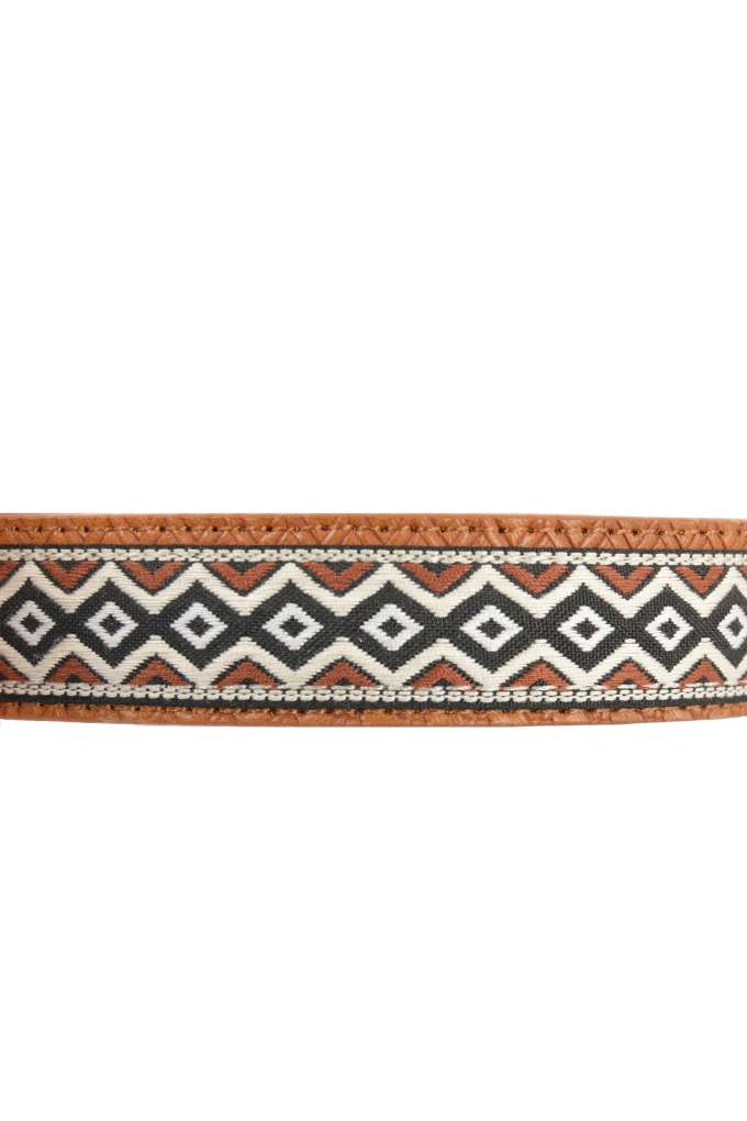 Pure Western Remy Dog Collar