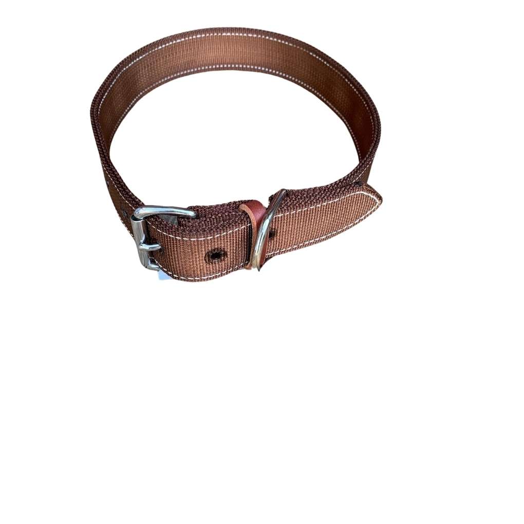 Tts Stallion Collar Poly Web