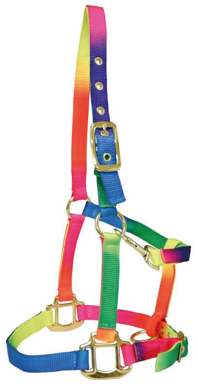 Webbing Halter Rainbow
