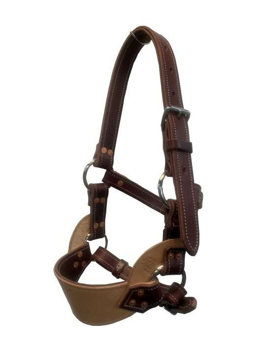 Tts Bronc Halter All Leather