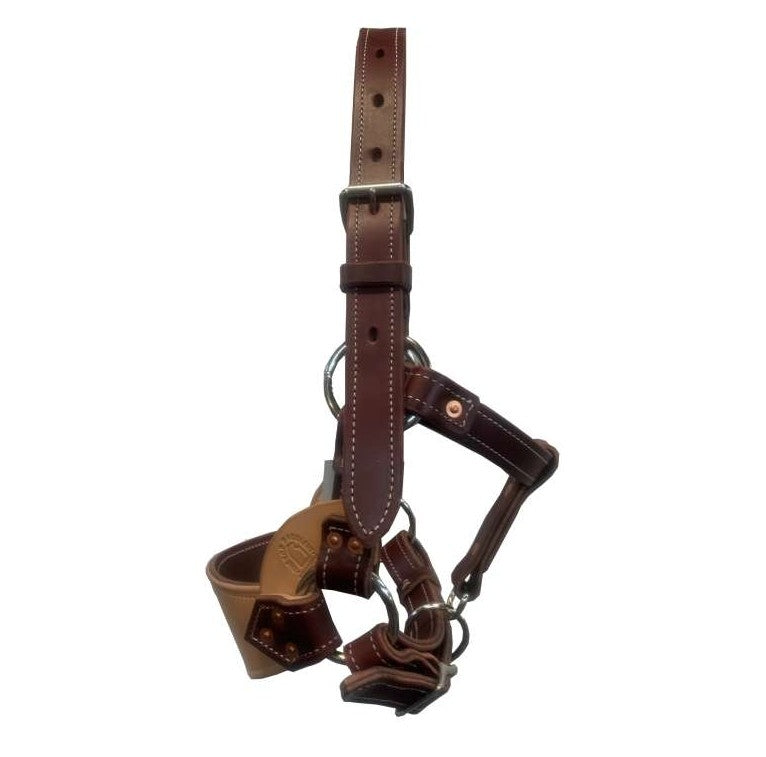 Tts Bronc Halter All Leather