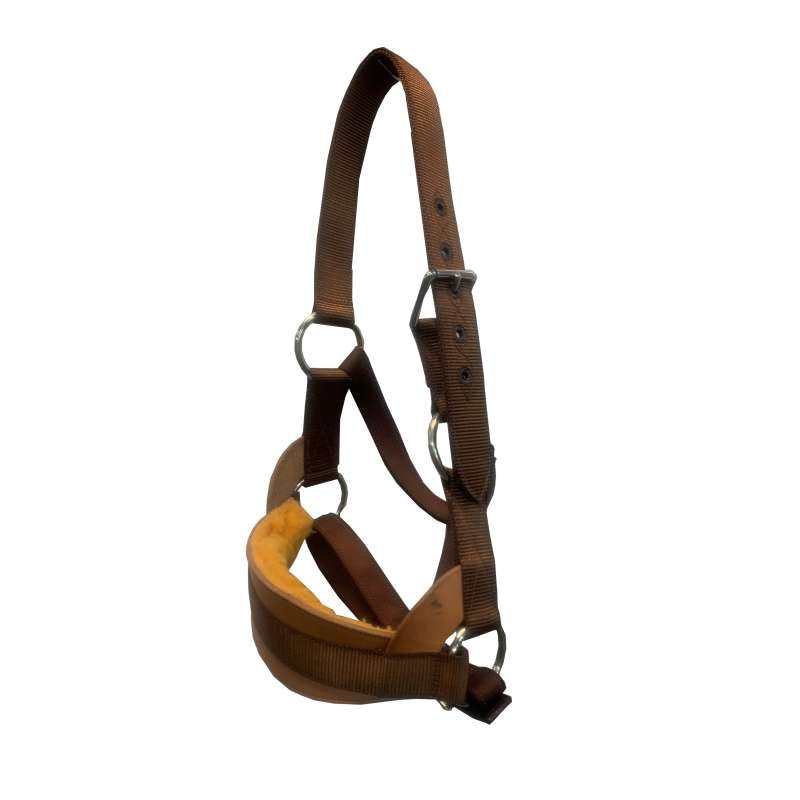 Tts Webbing Bronc Halter The Top Saddlery