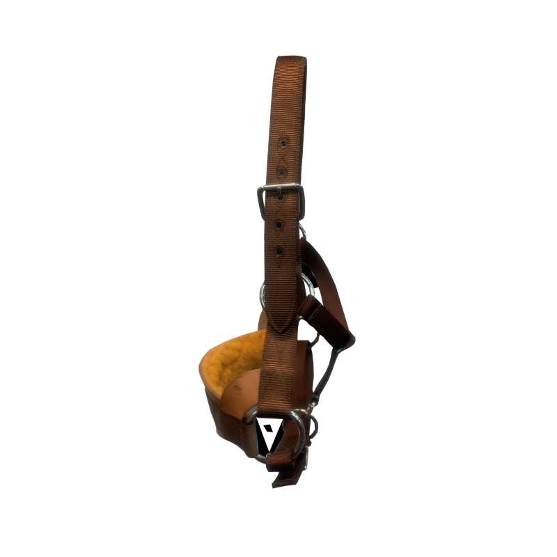Tts Webbing Bronc Halter