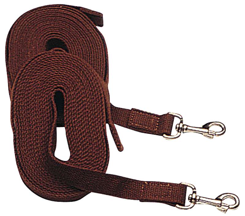 DRIVING REINS POLYWEB 25MM X 6.1M PAIR