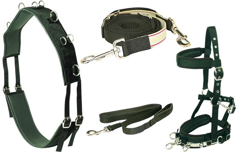 Equiprene Lunging Starter Kit Full