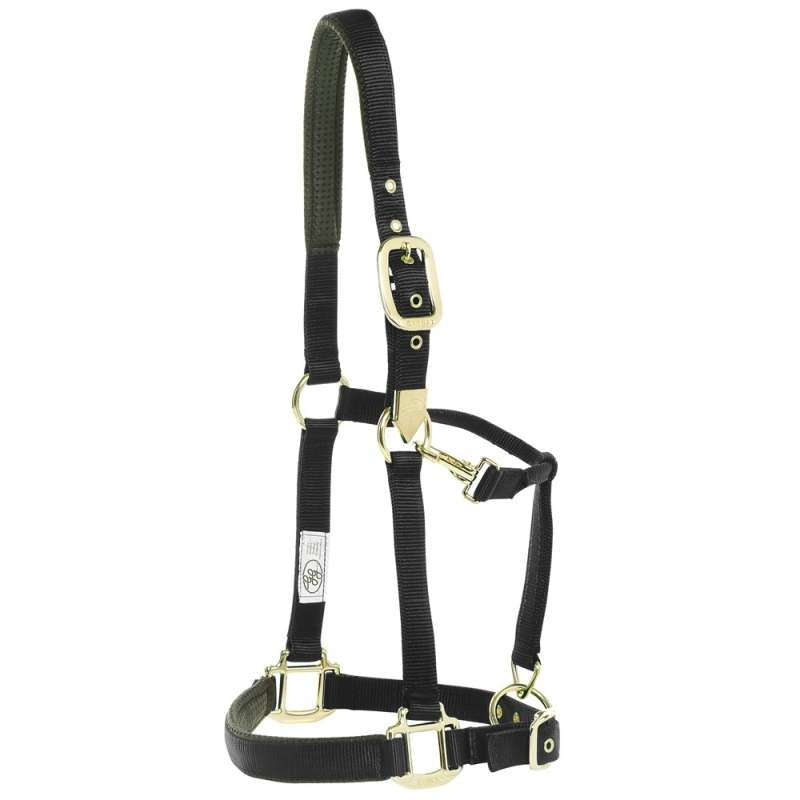 Gg Webbing Halter Deluxe With Brass Fittings