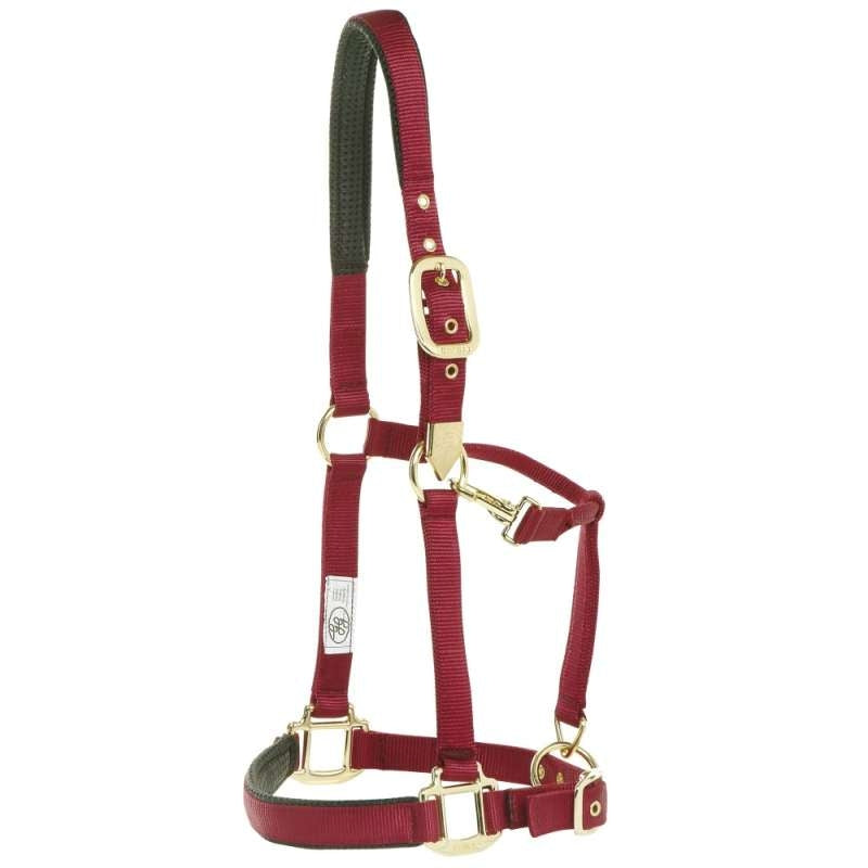 Gg Webbing Halter Deluxe With Brass Fittings