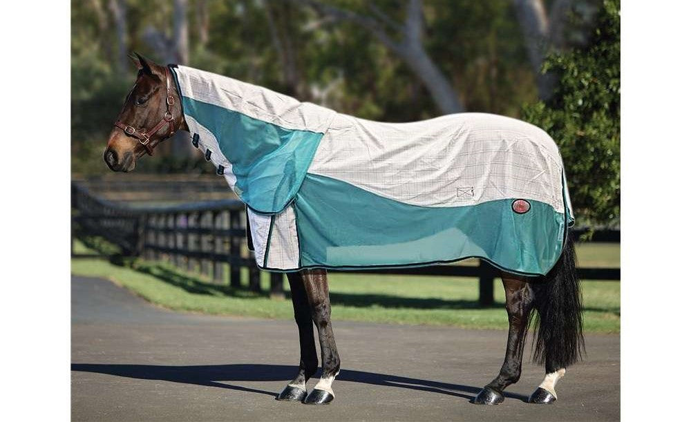 Kool Master Air Max Combo