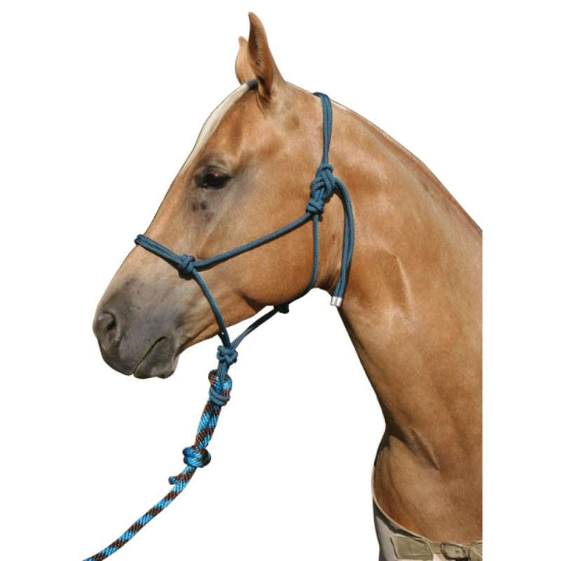 Professionals Choice Rope Halter & 3M Lead