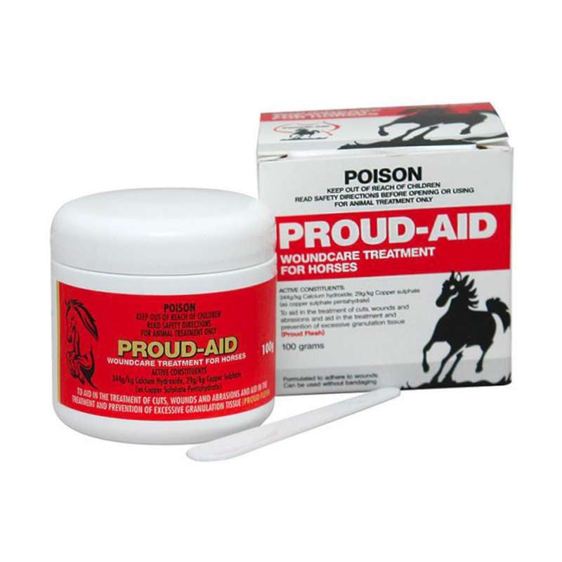 Proud-Aid Wound Care Paste 100Gm