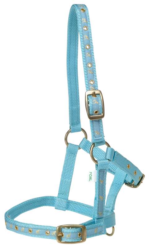 Rancher Webbing Foal Halter