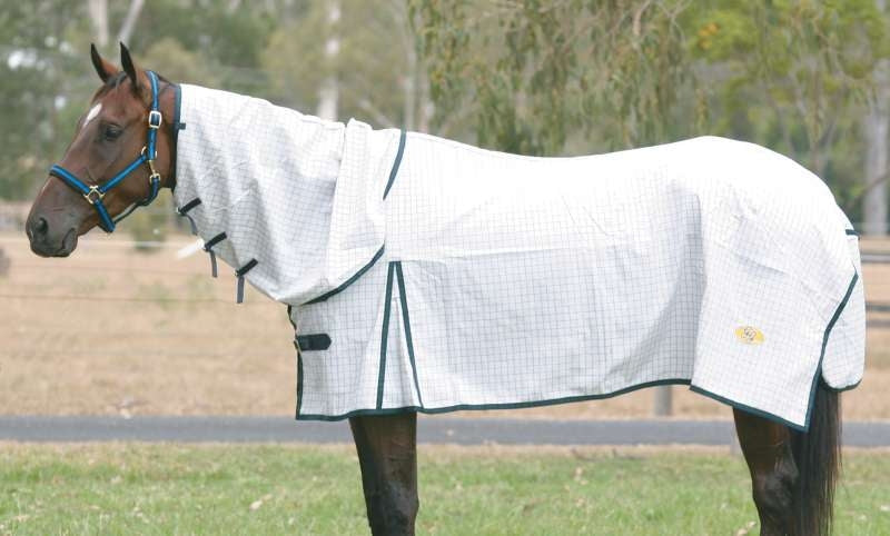 Gg Tear-Stop Combo Rug