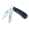 Taylors Eyewitness 2 Blade Stock Knife