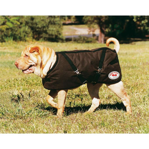 Thermomaster clearance dog coat