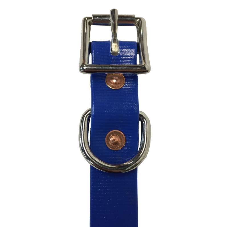 Pvc sale dog collar