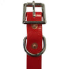 red pvc dog collar with nickle plated buckle