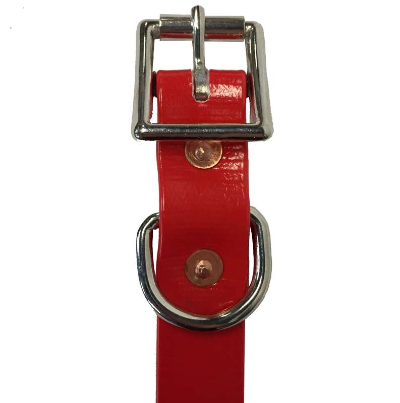 red pvc dog collar with nickle plated buckle