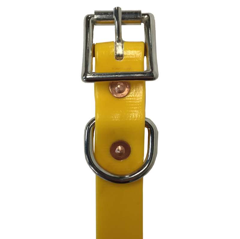 Tts Pvc Dog Collar 1 Inch Wide 42-55Cm