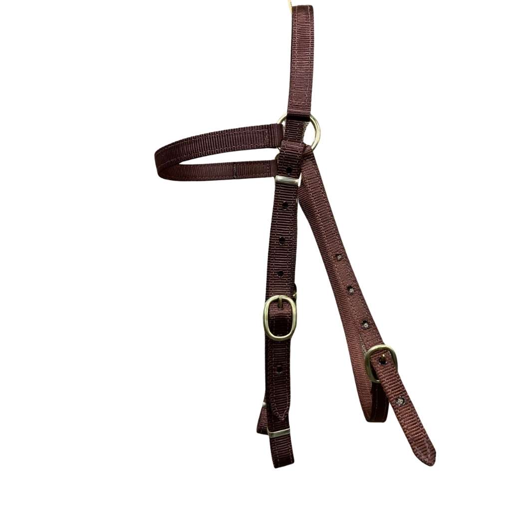 Tts Barcoo Bridle Head 3/4Inch Polywebbing Brass Bkles